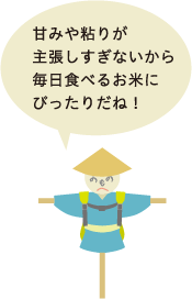 甘みや粘りが主張しすぎないから毎日食べるお米にぴったりだね！