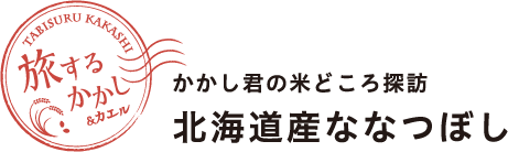 旅するかかし＆カエル かかし君の米どころ探訪 北海道産ななつぼし