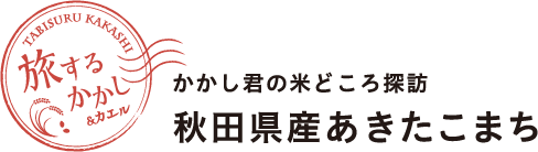 旅するかかし＆カエル かかし君の米どころ探訪 秋田県産あきたこまち