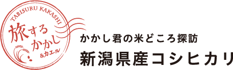 旅するかかし＆カエル かかし君の米どころ探訪 新潟県産こしひかり