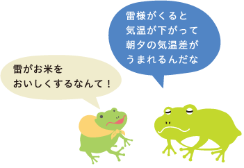 雷様がくると気温が下がって朝夕の気温差がうまれるんだな 雷がお米をおいしくするなんて！