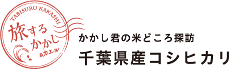 旅するかかし＆カエル かかし君の米どころ探訪 千葉県産こしひかり