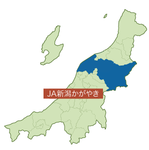 JA新潟かがやき