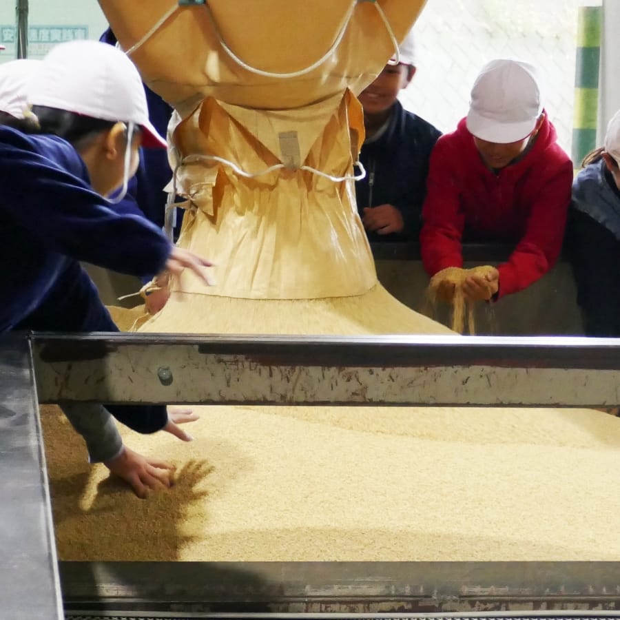 初めて目にする玄米の入った大きな袋が目の前に！ここから玄米は工場に入ります。